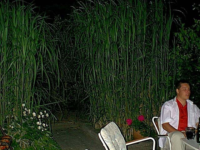 Image03